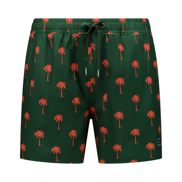 https://content.storeinfo.nl/applicatie/img/18/20260417094037_2982042_PalmboomgroenFront.jpeg